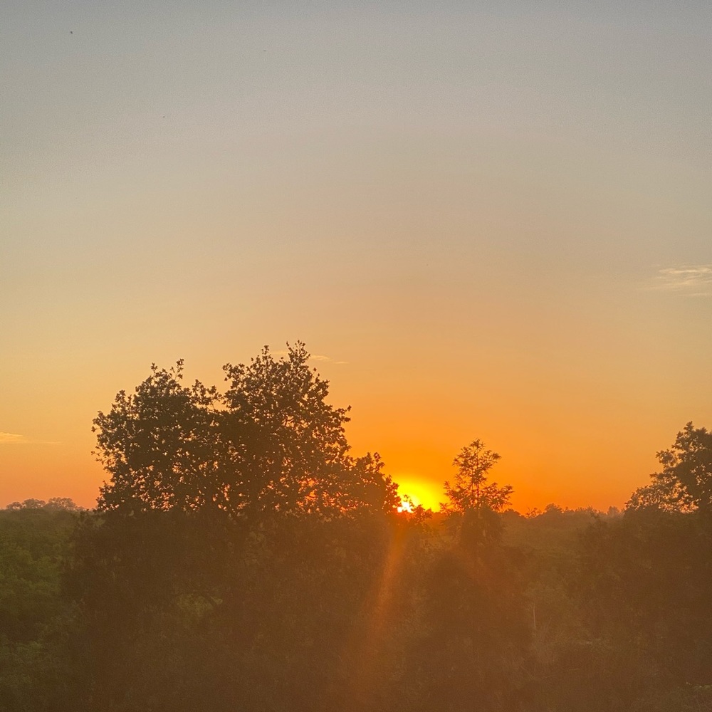 Meet your Posher, Kelli